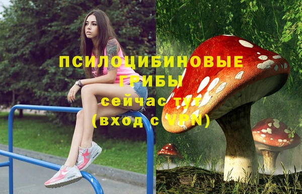 марки lsd Белокуриха